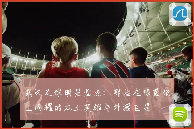 武汉足球明星盘点：那些在绿茵场上闪耀的本土英雄与外援巨星