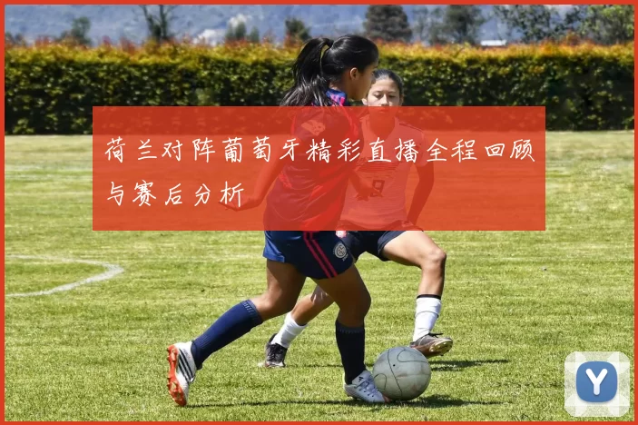 荷兰对阵葡萄牙精彩直播全程回顾与赛后分析