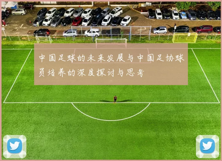 中国足球的未来发展与中国足协球员培养的深度探讨与思考