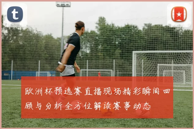 欧洲杯预选赛直播现场精彩瞬间回顾与分析全方位解读赛事动态